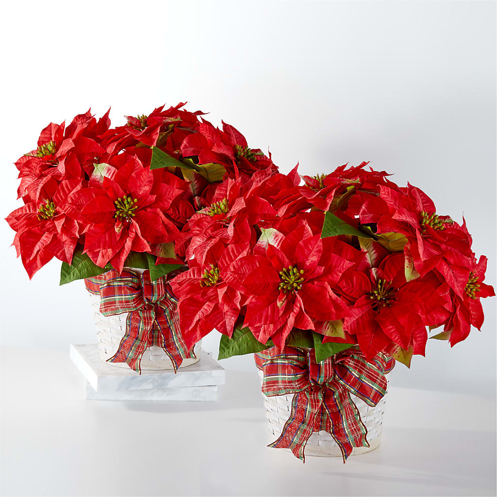 Happiest Holidays Poinsettia Bundle – The Gift Factory Pinellas, Pinellas Park FL