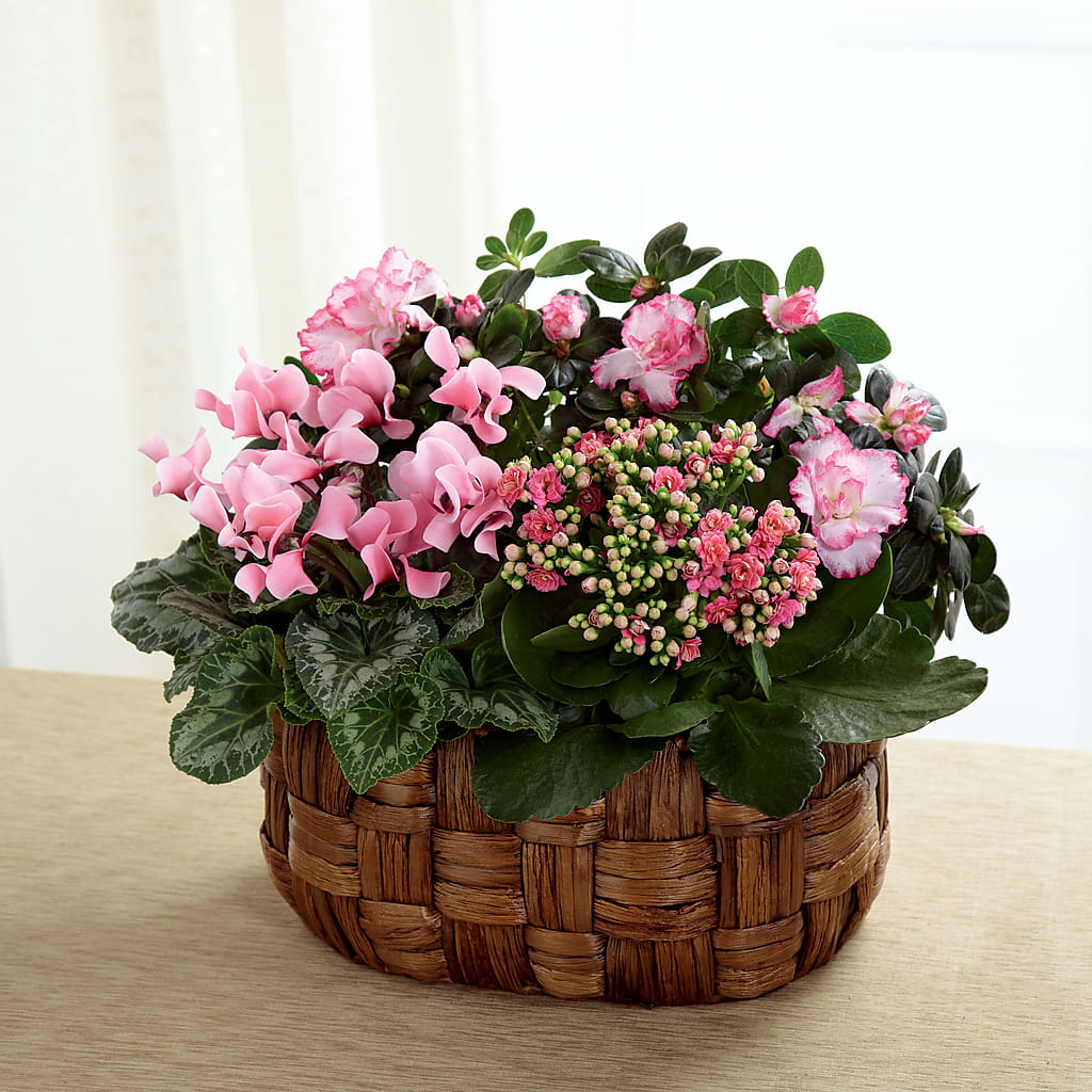 Pink Assortment – The Gift Factory Pinellas, Pinellas Park FL