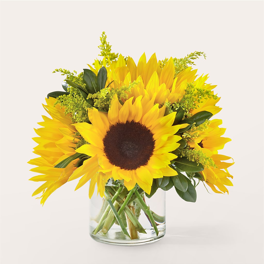 Beaming Sunflower Bouquet – The Gift Factory Pinellas, Pinellas Park FL
