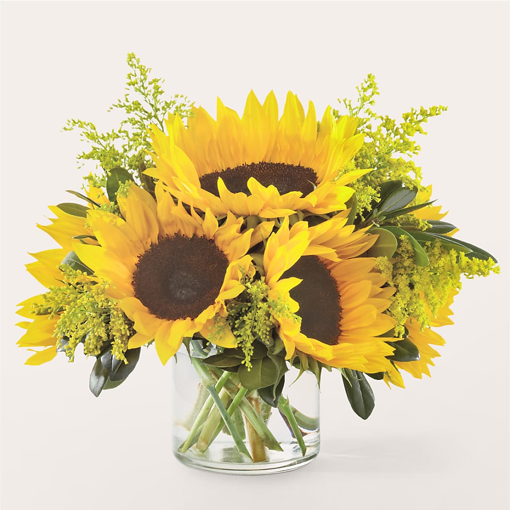 Beaming Sunflower Bouquet – The Gift Factory Pinellas, Pinellas Park FL