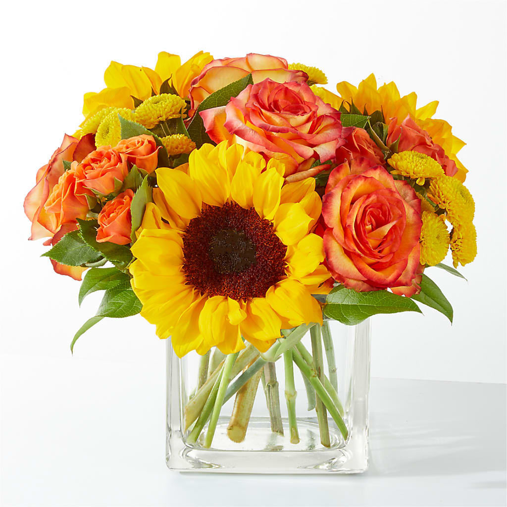 Picnic in the Park Bouquet – The Gift Factory Pinellas, Pinellas Park FL