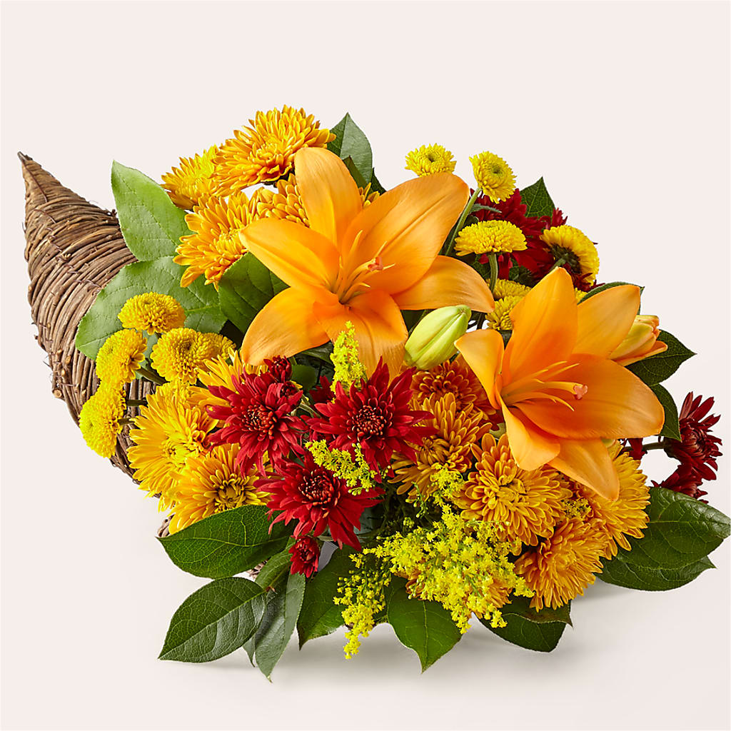 Feast of Color Cornucopia – The Gift Factory Pinellas, Pinellas Park FL