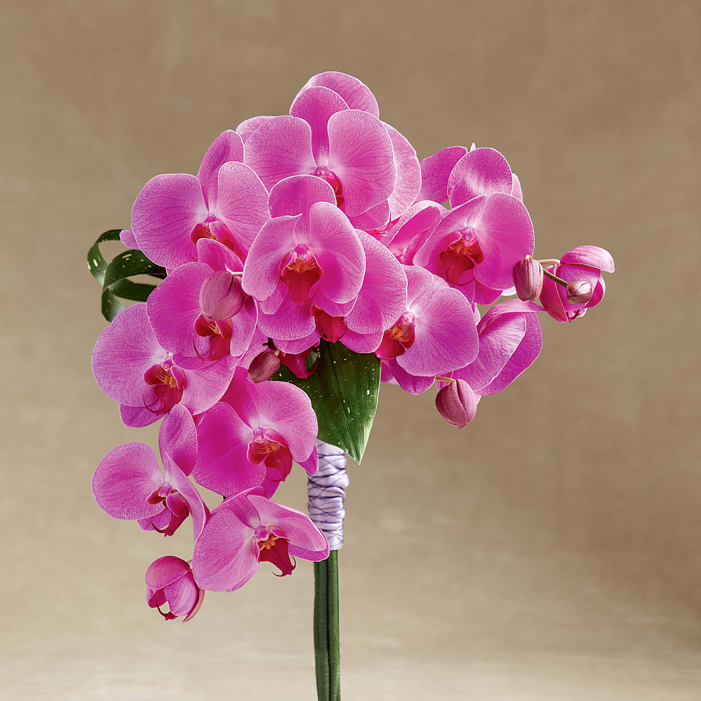 Glorious Bouquet – The Gift Factory Pinellas, Pinellas Park FL