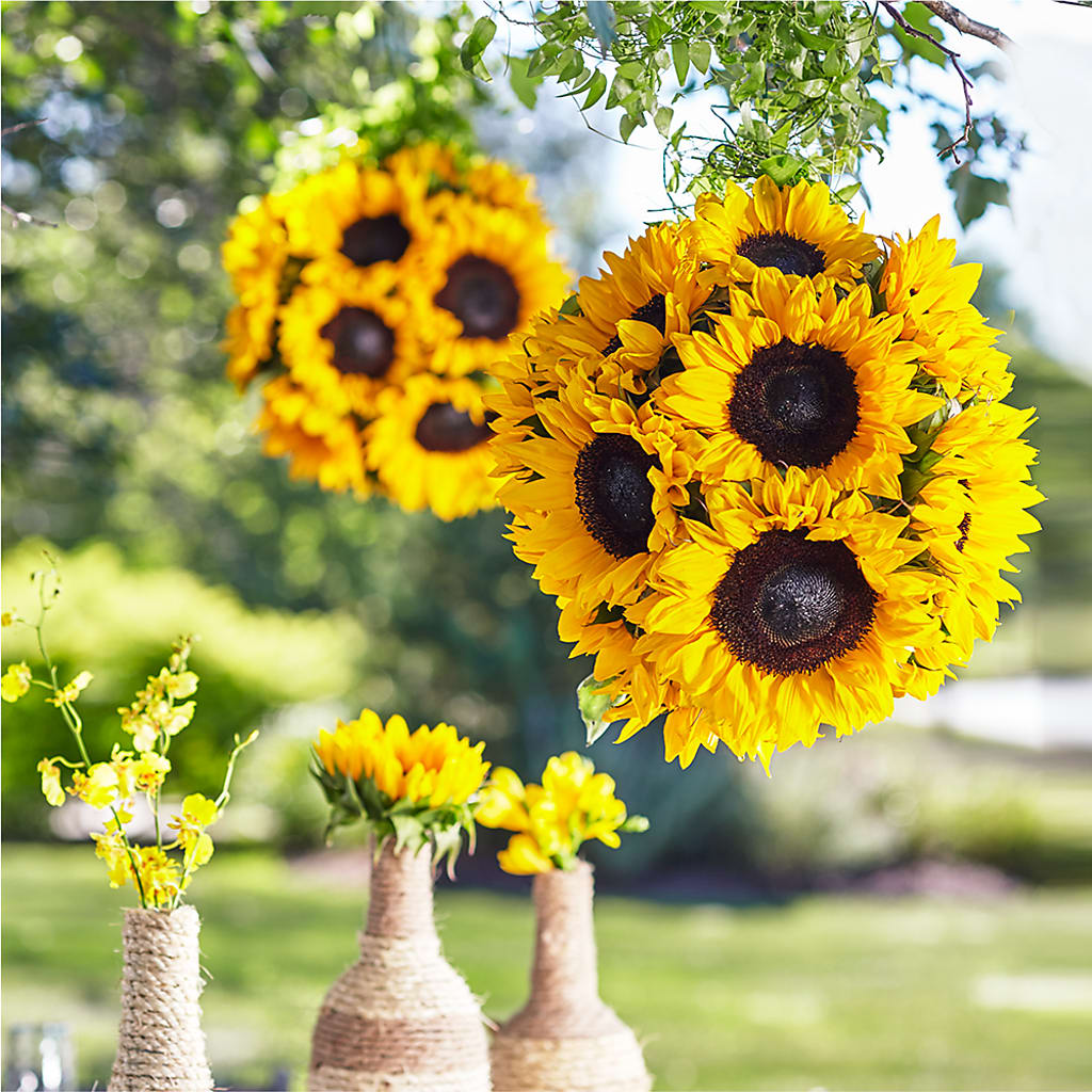Sublime Garden Hanging Arrangement – The Gift Factory Pinellas, Pinellas Park FL