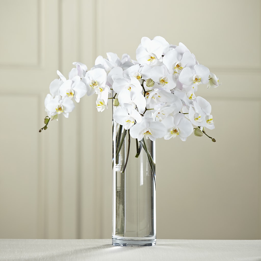White Phalaenopsis Bouquet – The Gift Factory Pinellas, Pinellas Park FL