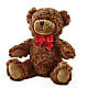 Adorable Plush Bear –  The Gift Factory Pinellas, Pinellas Park FL