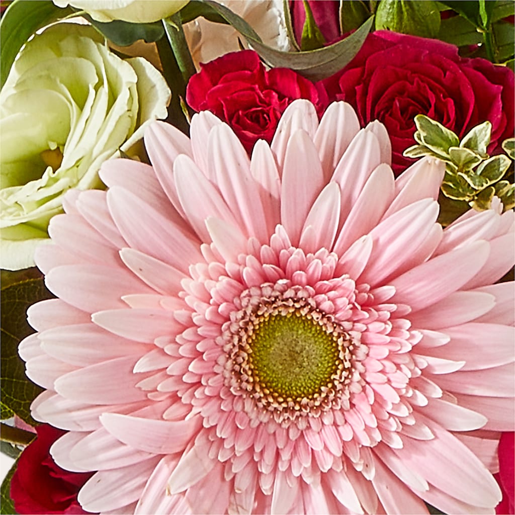 Too Cute Bouquet –  The Gift Factory Pinellas, Pinellas Park FL