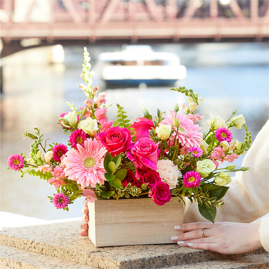 Too Cute Bouquet –  The Gift Factory Pinellas, Pinellas Park FL
