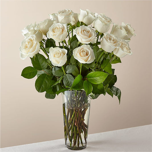 Long Stem White Rose Bouquet –  The Gift Factory Pinellas, Pinellas Park FL
