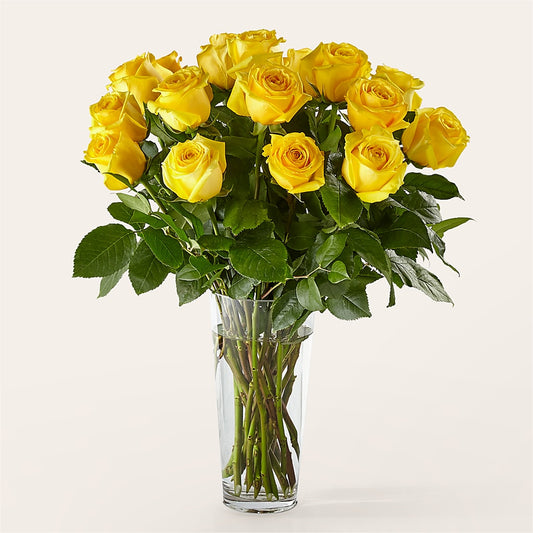 Long Stem Yellow Rose Bouquet –  The Gift Factory Pinellas, Pinellas Park FL