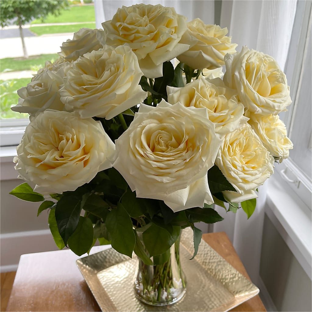 Long Stem Yellow Rose Bouquet –  The Gift Factory Pinellas, Pinellas Park FL