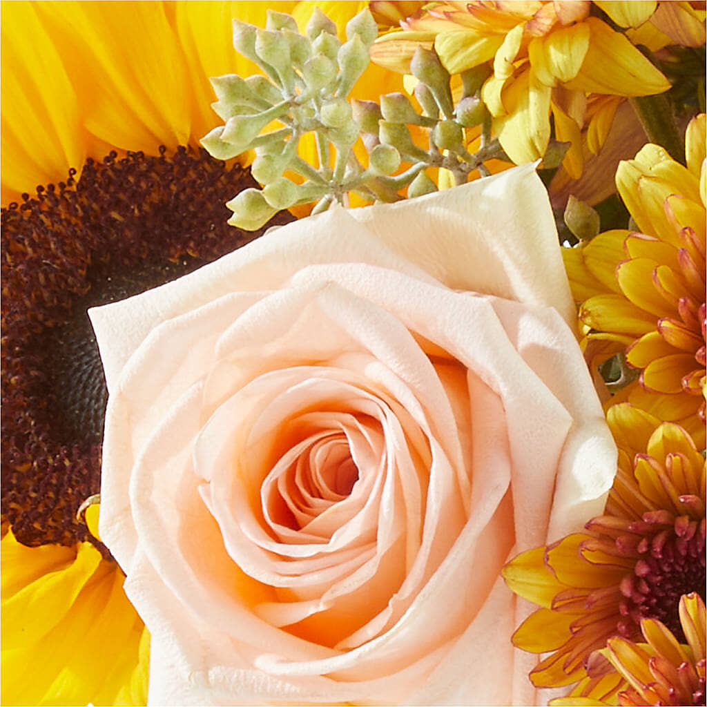Pumpkin to Talk About Bouquet –  The Gift Factory Pinellas, Pinellas Park FL