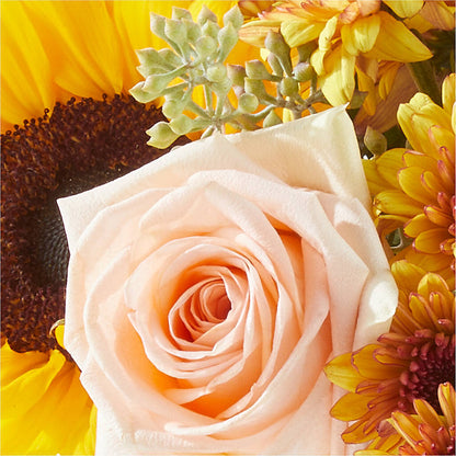 Pumpkin to Talk About Bouquet –  The Gift Factory Pinellas, Pinellas Park FL