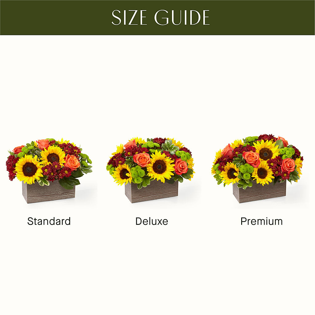 Happy Harvest Garden –  The Gift Factory Pinellas, Pinellas Park FL