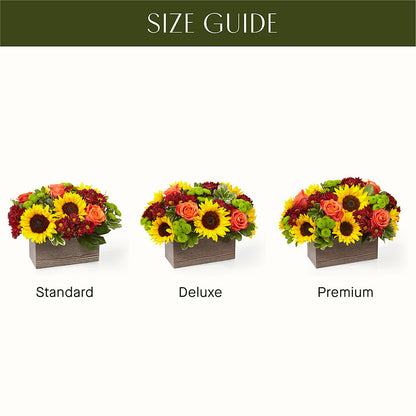 Happy Harvest Garden –  The Gift Factory Pinellas, Pinellas Park FL