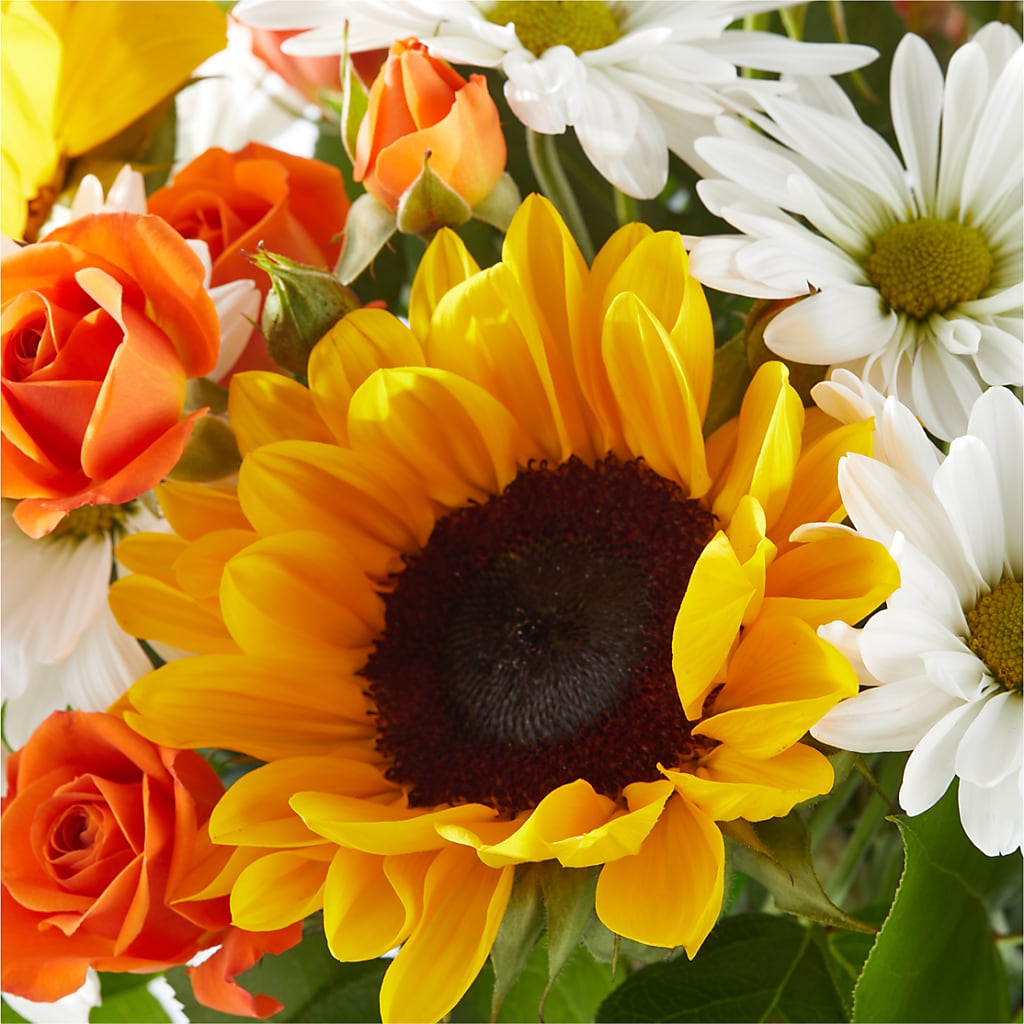 Sun-drenched Blooms Bouquet –  The Gift Factory Pinellas, Pinellas Park FL