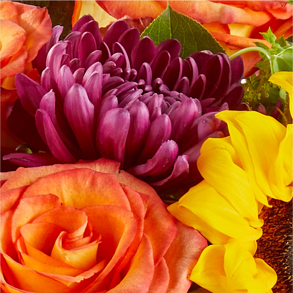 Nature Walk Bouquet –  The Gift Factory Pinellas, Pinellas Park FL