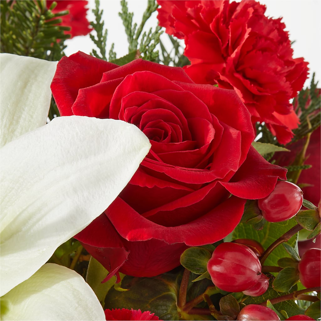 Oh So Jolly Bouquet –  The Gift Factory Pinellas, Pinellas Park FL