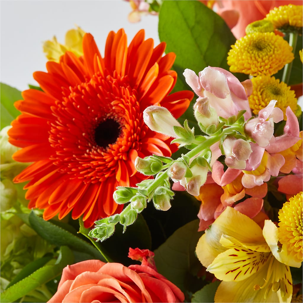 Autumn Sunshine Bouquet –  The Gift Factory Pinellas, Pinellas Park FL
