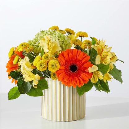 Autumn Sunshine Bouquet with Ivory Vase –  The Gift Factory Pinellas, Pinellas Park FL