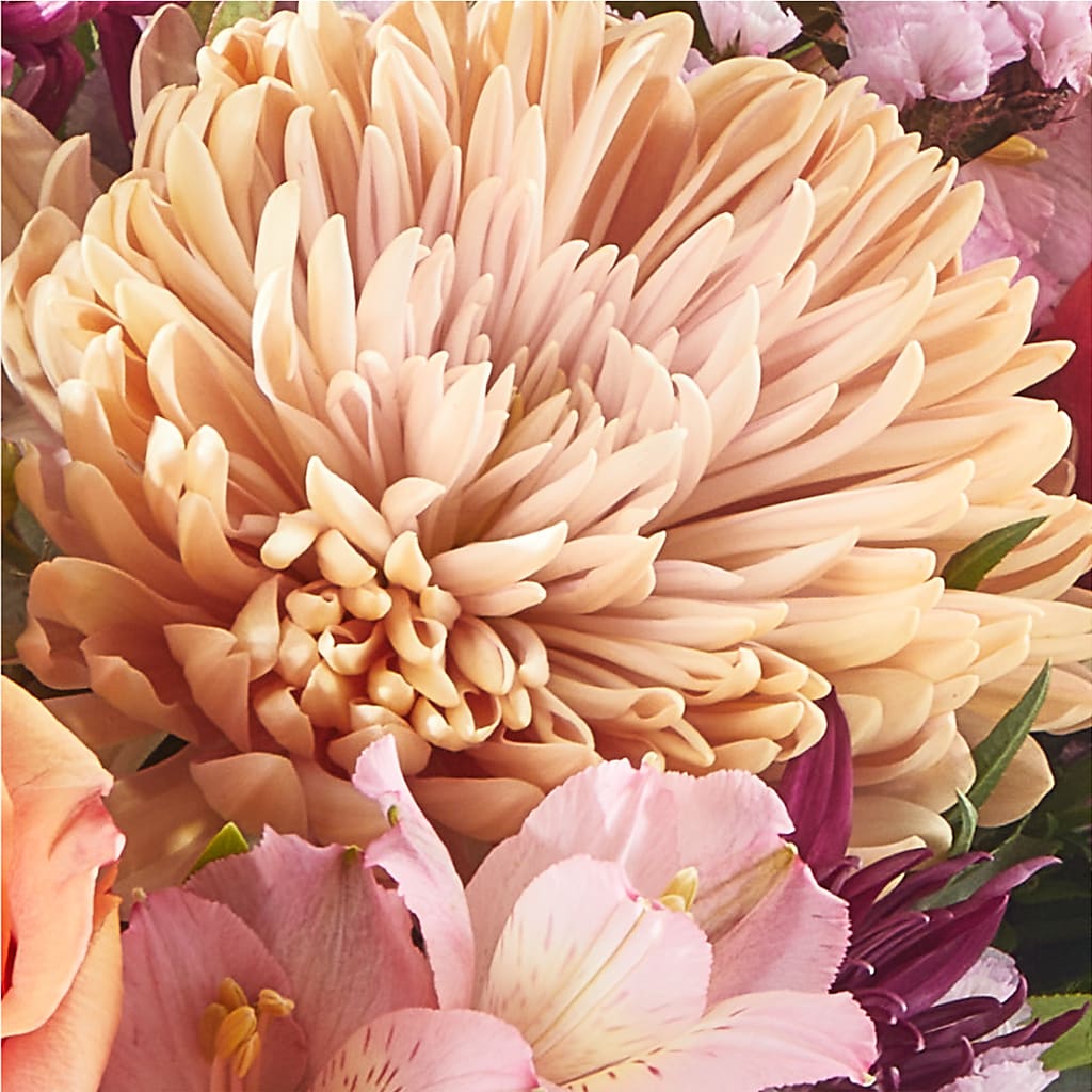Berry Cobbler Bouquet –  The Gift Factory Pinellas, Pinellas Park FL