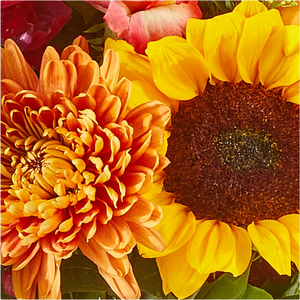 Seasons Change Bouquet –  The Gift Factory Pinellas, Pinellas Park FL