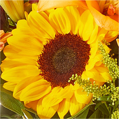 Seasons Change Bouquet –  The Gift Factory Pinellas, Pinellas Park FL