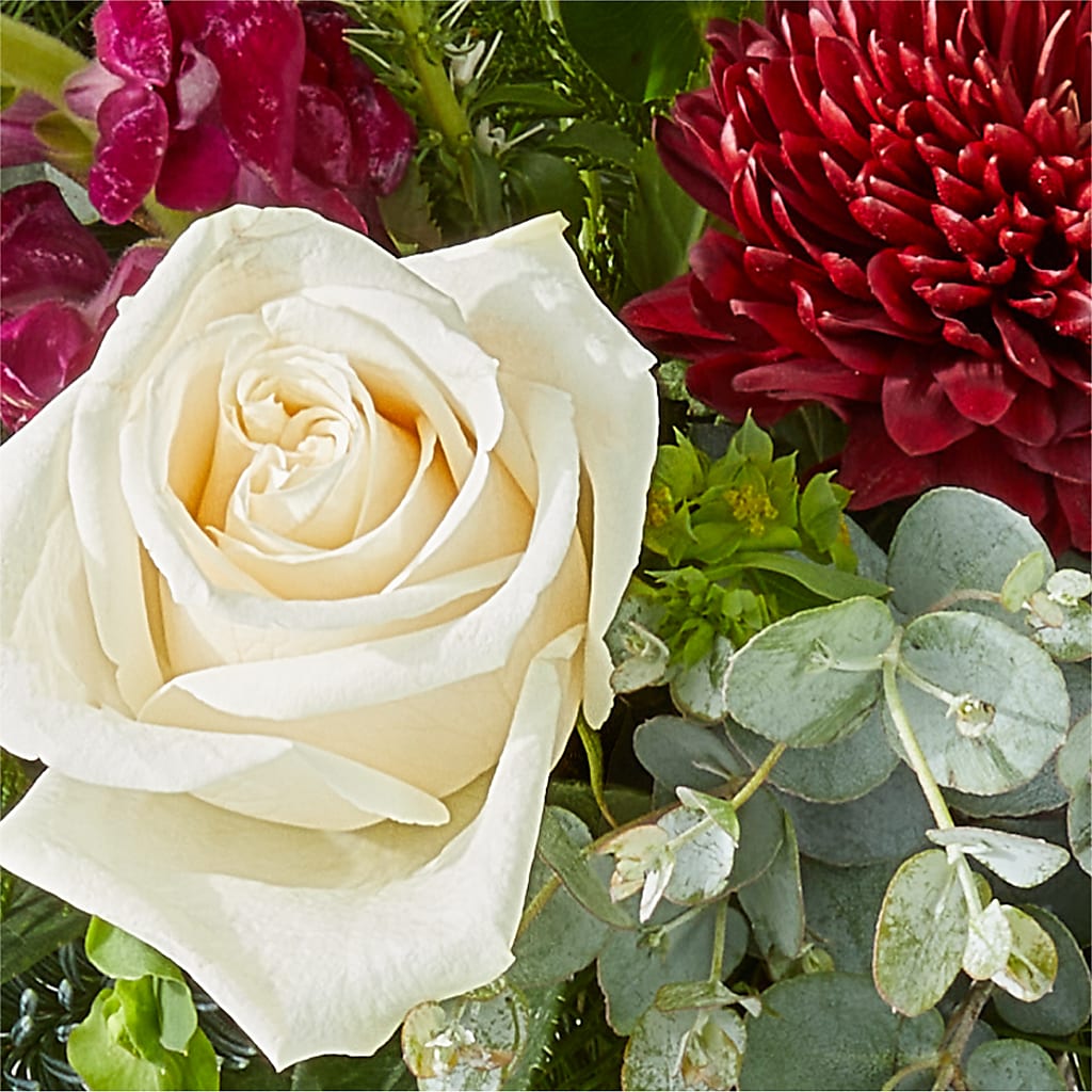 Cranberry Fizz Bouquet –  The Gift Factory Pinellas, Pinellas Park FL