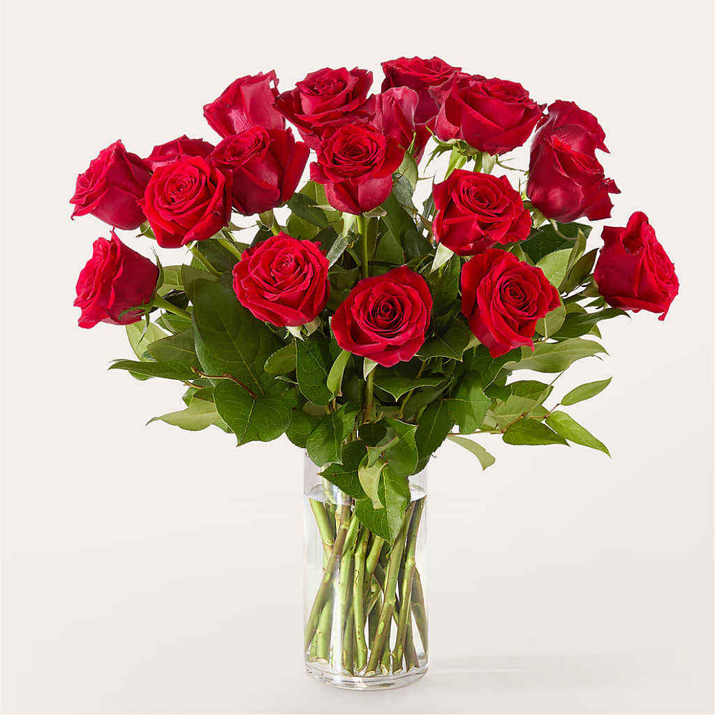 The One Red Rose Bouquet –  The Gift Factory Pinellas, Pinellas Park FL