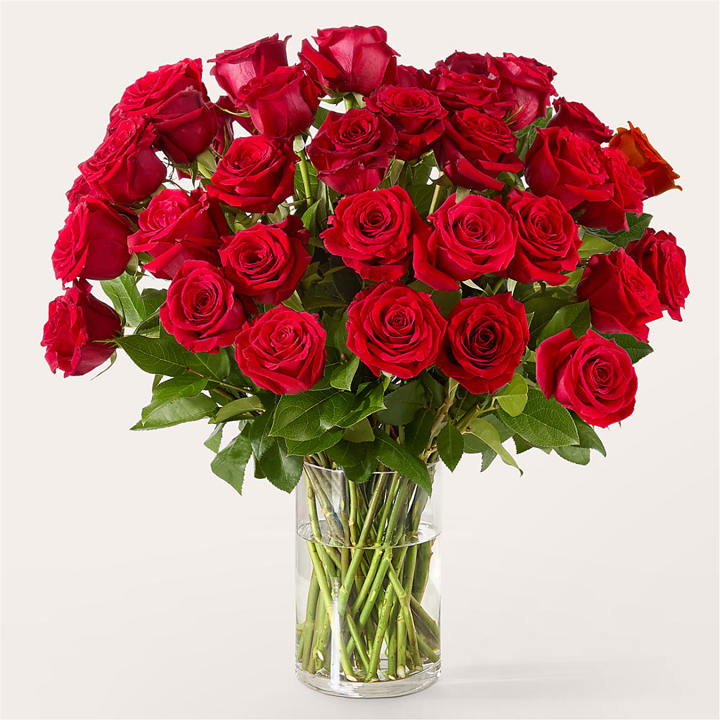 The One Red Rose Bouquet –  The Gift Factory Pinellas, Pinellas Park FL