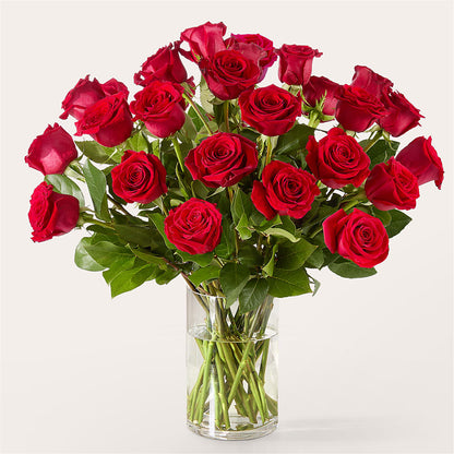 The One Red Rose Bouquet –  The Gift Factory Pinellas, Pinellas Park FL