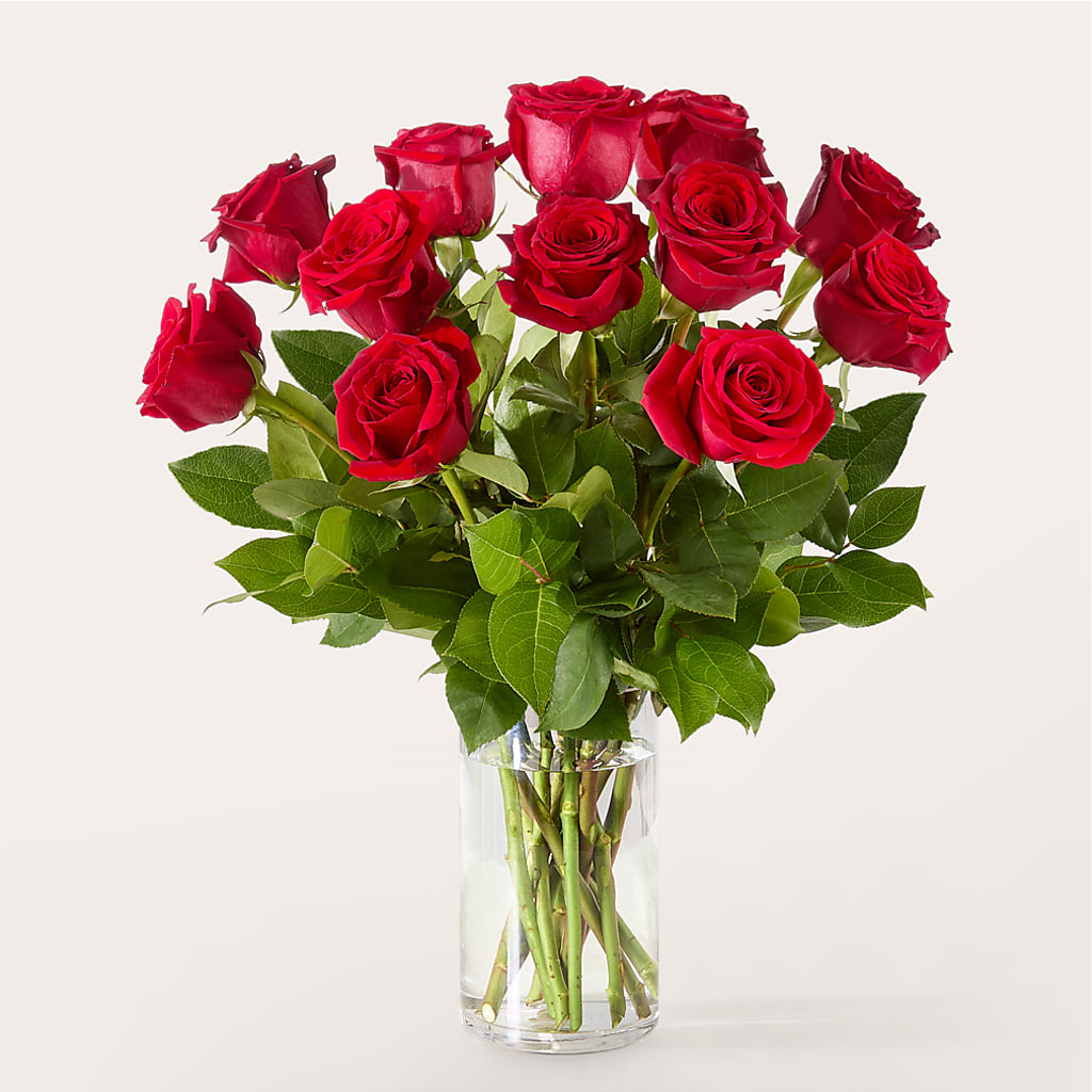 The One Red Rose Bouquet –  The Gift Factory Pinellas, Pinellas Park FL