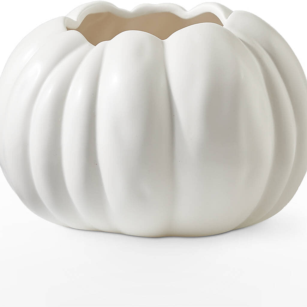 Autumn Air Pumpkin Bouquet –  The Gift Factory Pinellas, Pinellas Park FL